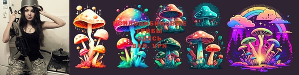 PSILOCYBIN Костерёво