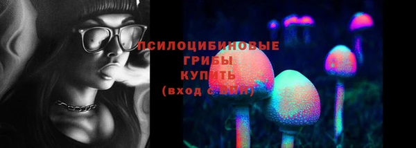 PSILOCYBIN Костерёво