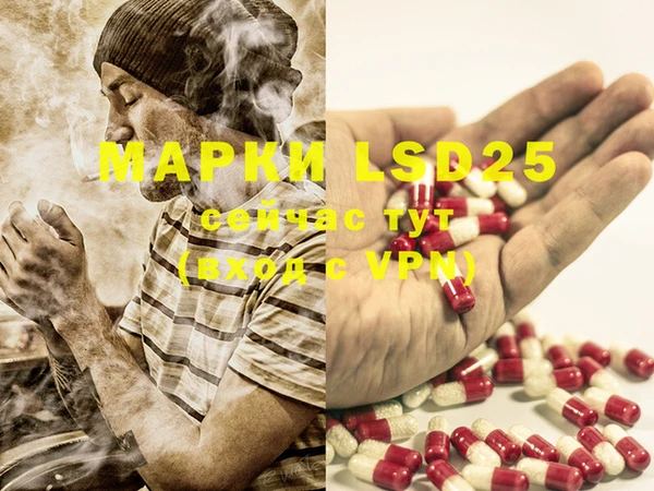 PSILOCYBIN Костерёво