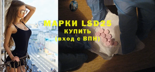 PSILOCYBIN Костерёво
