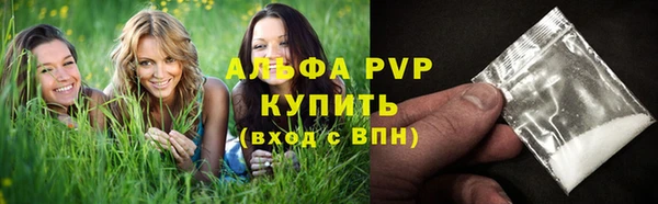 PSILOCYBIN Костерёво
